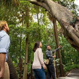 Veranstaltung: Aboriginal Heritage Walk - Royal Botanic Gardens Victoria, Melbourne Gardens, 100 Birdwood Ave in Melbourne