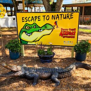 Veranstaltung: Everglades: 1-Hour Boggy Creek Airboat Tour at Southport Park, Daytona Beach Day Trips from Orlando in Orlando