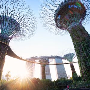 Veranstaltung: Singapore: Gardens by the Bay Tour - Supertrees, Flower Dome and Cloud Forest, Gardens by the Bay in Singapore