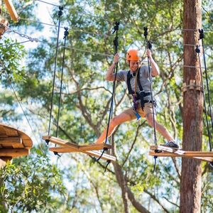 Veranstaltung: Coffs Harbour: Treetops Adventure, Treetops Adventure Coffs Harbour in Coffs Harbour