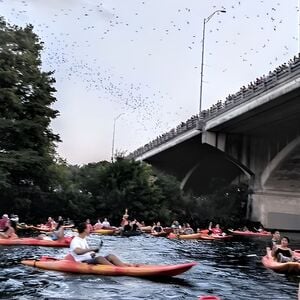 Veranstaltung: Congress Avenue Bat Bridge Kayak Tour in Austin, East Avenue in Austin