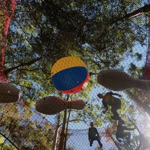 Veranstaltung: Treetops Adventure: Central Coast, Treetops Adventure Central Coast in Wyong Creek