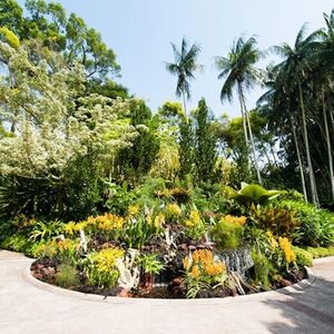 Veranstaltung: Singapore National Orchid Garden Tickets, National Orchid Gardens in Singapore