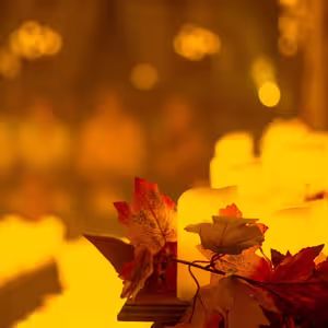 Veranstaltung: Candlelight : classiques d'Halloween, Maison de l'Océan in Paris