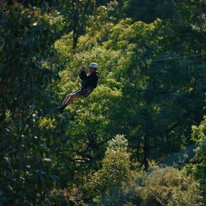 Veranstaltung: Forest Adventures Park Entry, Forest Adventures South West in Busselton