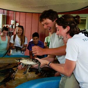 Veranstaltung: Insta-Gator Ranch & Hatchery: Entry Ticket + Guided Tour, Insta-Gator Ranch & Hatchery in Covington (LA)