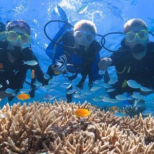 Veranstaltung: Quicksilver Great Barrier Reef Snorkel Cruise from Port Douglas, Crystalbrook Superyacht Marina in Port Douglas