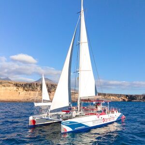 Veranstaltung: Tenerife: Excursión de 3 horas en catamarán ecológico para avistar ballenas y delfines, Tenerife Sailing Tours in Costa Adeje