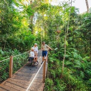 Veranstaltung: Barron Falls, Cattana Wetlands & Skyrail Rainforest Cableway: Tour + Lunch, Skyrail Rainforest Cableway in Cairns