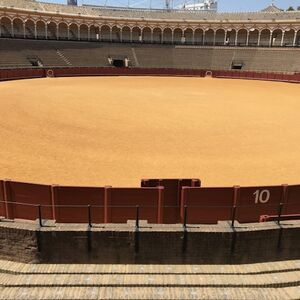 Veranstaltung: Real Maestranza: Visita guiada, Plaza de Toros de la Real Maestranza de Caballería de Sevilla in Sevilla