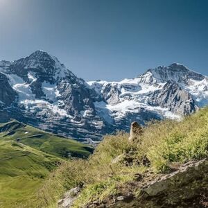 Veranstaltung: Grindelwald Station: Roundtrip Train from / to Jungfrauoch & Eiger Glacier, Day Trips From Grindelwald in Grindelwald