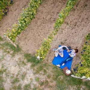 Veranstaltung: Vigneto di Montelpulciano: Degustazione di vini e picnic, Siena Wine Tasting in Siena