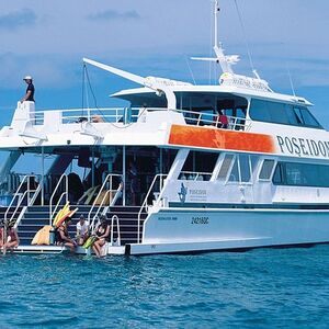 Veranstaltung: Poseidon Outer Great Barrier Reef Snorkeling and Diving Cruise from Port Douglas, Crystalbrook Superyacht Marina in Port Douglas