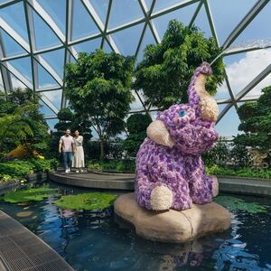 Veranstaltung: Singapore Garden City Pass: Admission to 3-7 Attractions, Singapore SIM Cards in Singapore