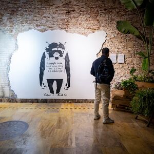 Veranstaltung: Museo Banksy Barcelona: Entrada sin colas, Banksy Museum Barcelona in Barcelona