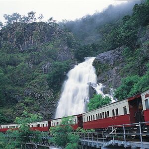 Veranstaltung: Self-Drive Kuranda Experience: Skyrail Rainforest Cableway & Scenic Rail, Skyrail Rainforest Cableway in Cairns