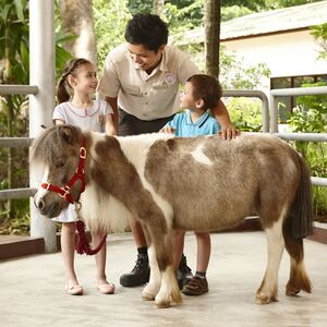 Veranstaltung: Singapore Zoo: Entry Ticket + Roundtrip Transport, Singapore Zoo in Singapore