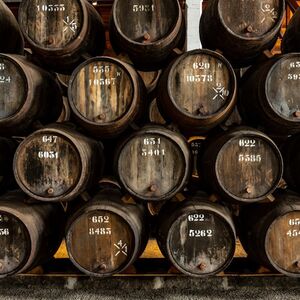 Veranstaltung: Taylor's Cellar & The Wine Experience: Tour + Degustação, Taylor's Port Cellars in Vila Nova de Gaia