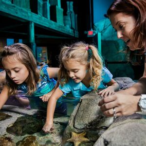 Veranstaltung: Sea Life & Legoland® Istanbul, Legoland® Discovery Centre Istanbul in Istanbul