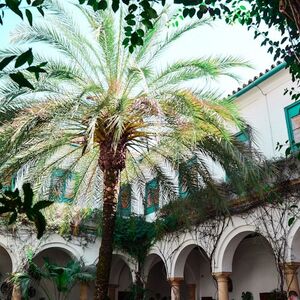 Veranstaltung: Palacio de Viana y patios: Visita guiada, Viana Palace in Córdoba