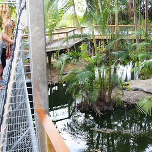 Veranstaltung: Port Douglas Wildlife Habitat, Wildlife Habitat in Port Douglas