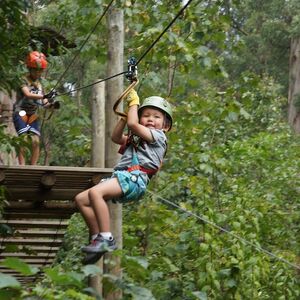 Veranstaltung: Treetops Adventure: Belgrave Park, Belgrave Park in Melbourne