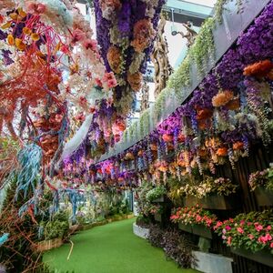 Veranstaltung: Gardens by the Bay: Floral Fantasy, Floral Fantasy in Singapore