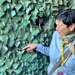 Veranstaltung: Go With A Local: Visita guiada sin hacer cola a la Sagrada Familia en alemán, La Sagrada Familia in Barcelona