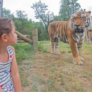 Veranstaltung: Safari de Peaugres, Safari de Peaugres in Saint-Sorlin-en-Valloire