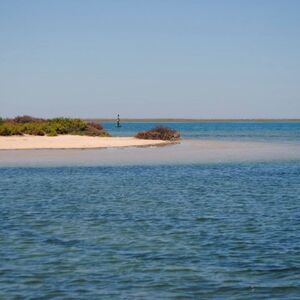 Veranstaltung: Ria Formosa: Passeio de barco guiado de 1 hora, Faro Cruises in Faro