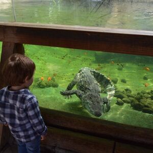 Veranstaltung: Terra Natura Benidorm: Entrada sin colas, Terra Natura Benidorm in Benidorm