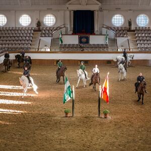 Veranstaltung: Real escuela andaluza del arte ecuestre: Visita completa, Royal Andalusian School of Equestrian Art in Jerez de la Frontera