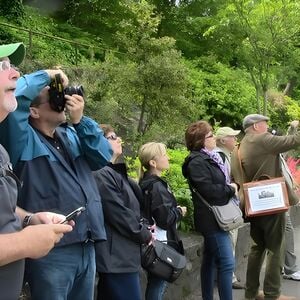 Veranstaltung: Royal Mile Guided Walking Tour in Edinburgh, Usher Hall in Edinburgh