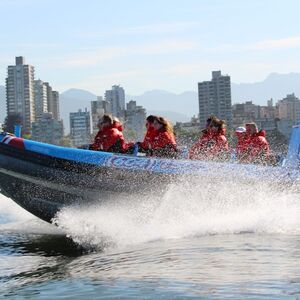 Veranstaltung: City and Seal Cruise from Vancouver, Vancouver Boat Tours in Vancouver