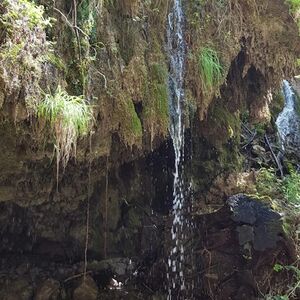 Veranstaltung: Cascate delle Ferriere: Tour Guidato da Amalfi, Scala Outdoor Activities in Scala