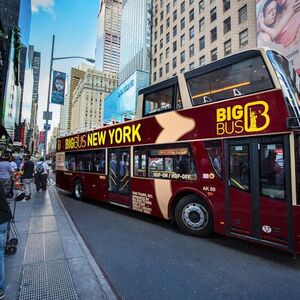 Veranstaltung: Brooklyn: 3-Hour Guided Bus Tour + Chocolate Tasting, New York in new york city