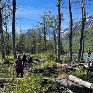 Veranstaltung: Summer Valley and Forest Hike, William A. Egan Civic & Convention Center in Anchorage