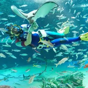 Veranstaltung: Sunshine Aquarium: Entry Ticket, Sunshine Aquarium in Tokyo