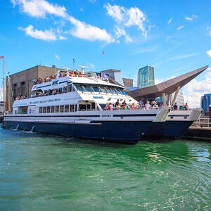 Veranstaltung: Boston Whale Watching Cruise by High-Speed Catamaran, Long Wharf in Boston