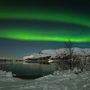 Veranstaltung: Northern Lights: 3-Hr Bus Tour + Audio Guide, Northern Lights Tours from Reykjavik in Reykjavík