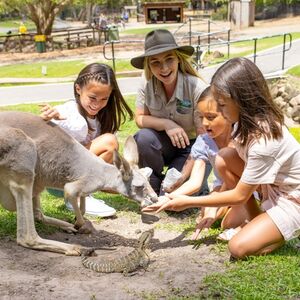 Veranstaltung: Currumbin Wildlife Sanctuary: Entry Ticket, Currumbin Wildlife Sanctuary in Currumbin