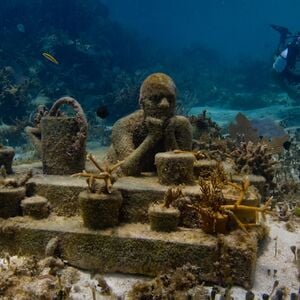 Veranstaltung: Cancún: Paseo en barco con fondo de cristal por el Museo Subacuático de Arte MUSA con bebida, MUSA Cancún Underwater Art Museum in Cancún