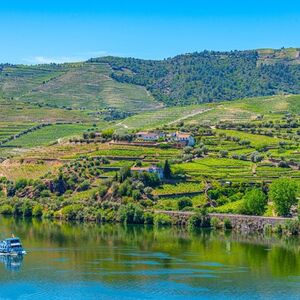 Veranstaltung: Vale do Douro: Cruzeiro do Porto à Régua com café da manhã e almoço, Douro Valley Day Trips from Porto in Porto