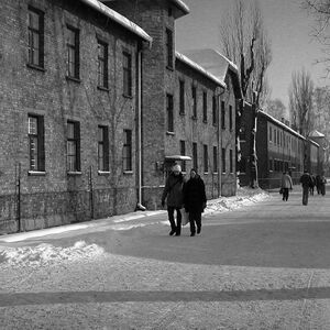 Veranstaltung: Auschwitz-Birkenau: Tour with Transport + Fast Track, Auschwitz Tours from Kraków in Krakow