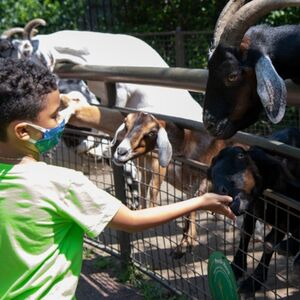 Veranstaltung: Central Park Zoo: Total Experience, Sarabeth's Central Park South in New York