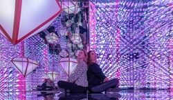 Veranstaltung: The Upside Down + Moco Museum, The Upside Down in Amsterdam