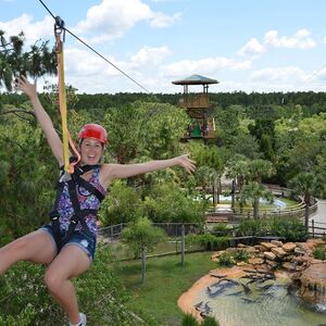 Veranstaltung: Gatorland Orlando: Screamin' Gator Zip Line, Gatorland Orlando in Orlando