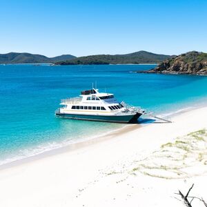 Veranstaltung: Great Keppel Island: Boat Tour + Snorkeling & Boom Netting + BBQ Lunch, Water Activities in Yeppoon in Yeppoon