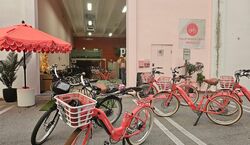 Veranstaltung: Palm Beach: 3 hr Guided Electric Bike Tour, in West Palm Beach