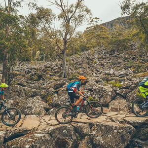 Veranstaltung: kunanyi / Mt Wellington Explorer Bus - One Way Tour, Hydro Tasmania in Hobart